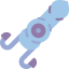 Squid ícono 64x64