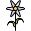 Camomile icon 64x64