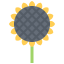 Sunflower icon 64x64