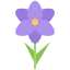 Orchid icon 64x64