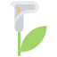 Calla icon 64x64