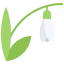 Snowdrop icon 64x64