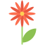 Flower icon 64x64
