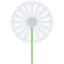 Dandelion icon 64x64