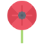 Poppy icon 64x64