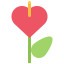 Anthurium icon 64x64