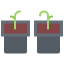 Sprouts icon 64x64