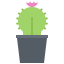 Cactus icon 64x64