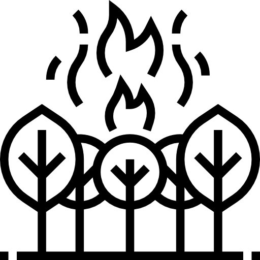 Fire icon