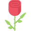 Rose icon 64x64