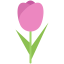 Tulip icon 64x64
