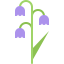 Bluebell icon 64x64