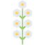 Flower icon 64x64
