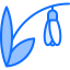 Snowdrop icon 64x64