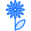 Flower icon 64x64