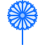 Dandelion icon 64x64