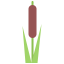 Reed Symbol 64x64