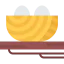Nest icon 64x64