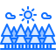 Forest 图标 64x64