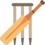 Cricket icon 64x64