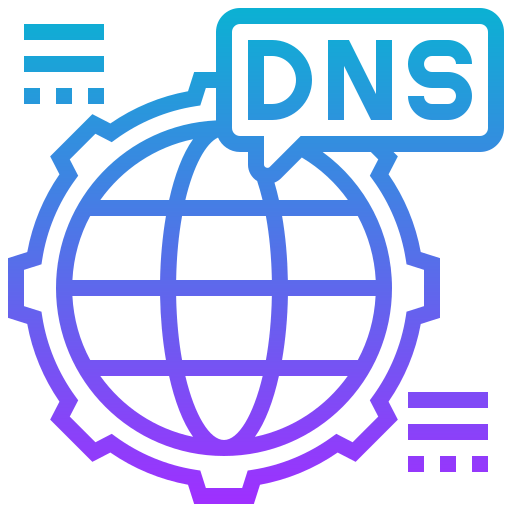 Dns icon