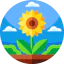 Sunflower icon 64x64