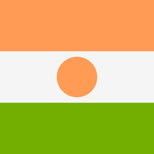 Niger ícone