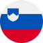 Slovenia icon 64x64