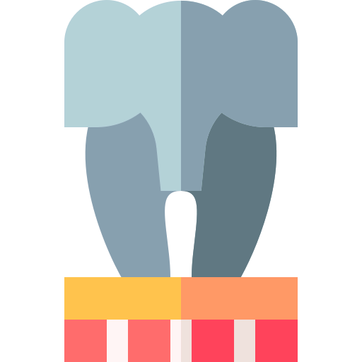 Circus icon