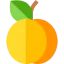Apricot icon 64x64