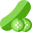 Cucumber icône 64x64