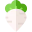Turnip icône 64x64