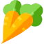 Carrot icône 64x64