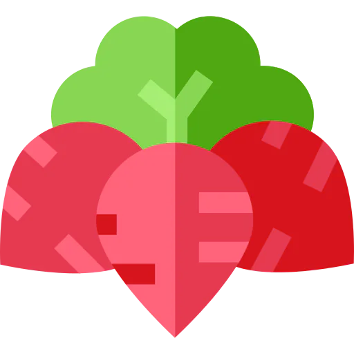 Radish icon