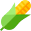 Corn icône 64x64