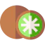 Kiwi icône 64x64