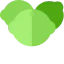 Lime icône 64x64