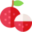 Lychee icône 64x64