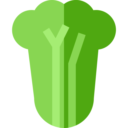 Cabbage icon