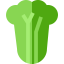 Cabbage icône 64x64
