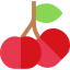 Cherry icône 64x64