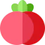 Tomato icône 64x64