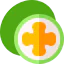 Feijoa icône 64x64
