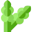 Asparagus icône 64x64