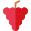 Grape ícono 64x64