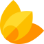 Physalis ícono 64x64