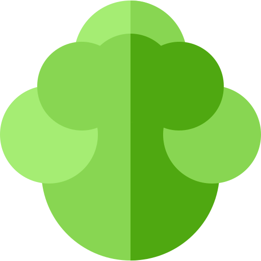 Cabbage icon