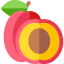 Plum ícono 64x64