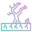 Desertification 图标 64x64