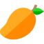Mango biểu tượng 64x64